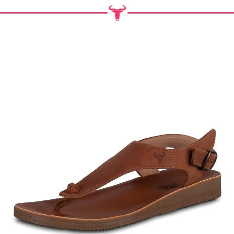 Wildebees Ladies Dove Sandle -Tan
