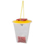 Redtop STD Fly Catcher Reusable